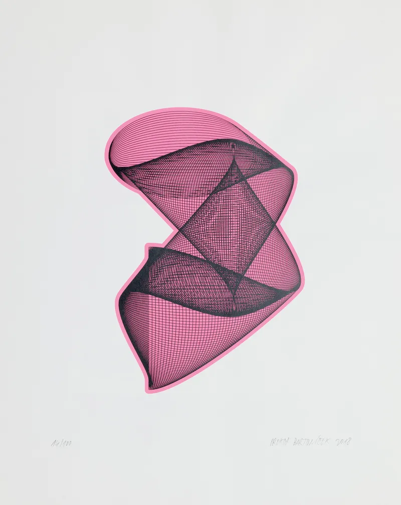 Prokop Bartoníček - 2018